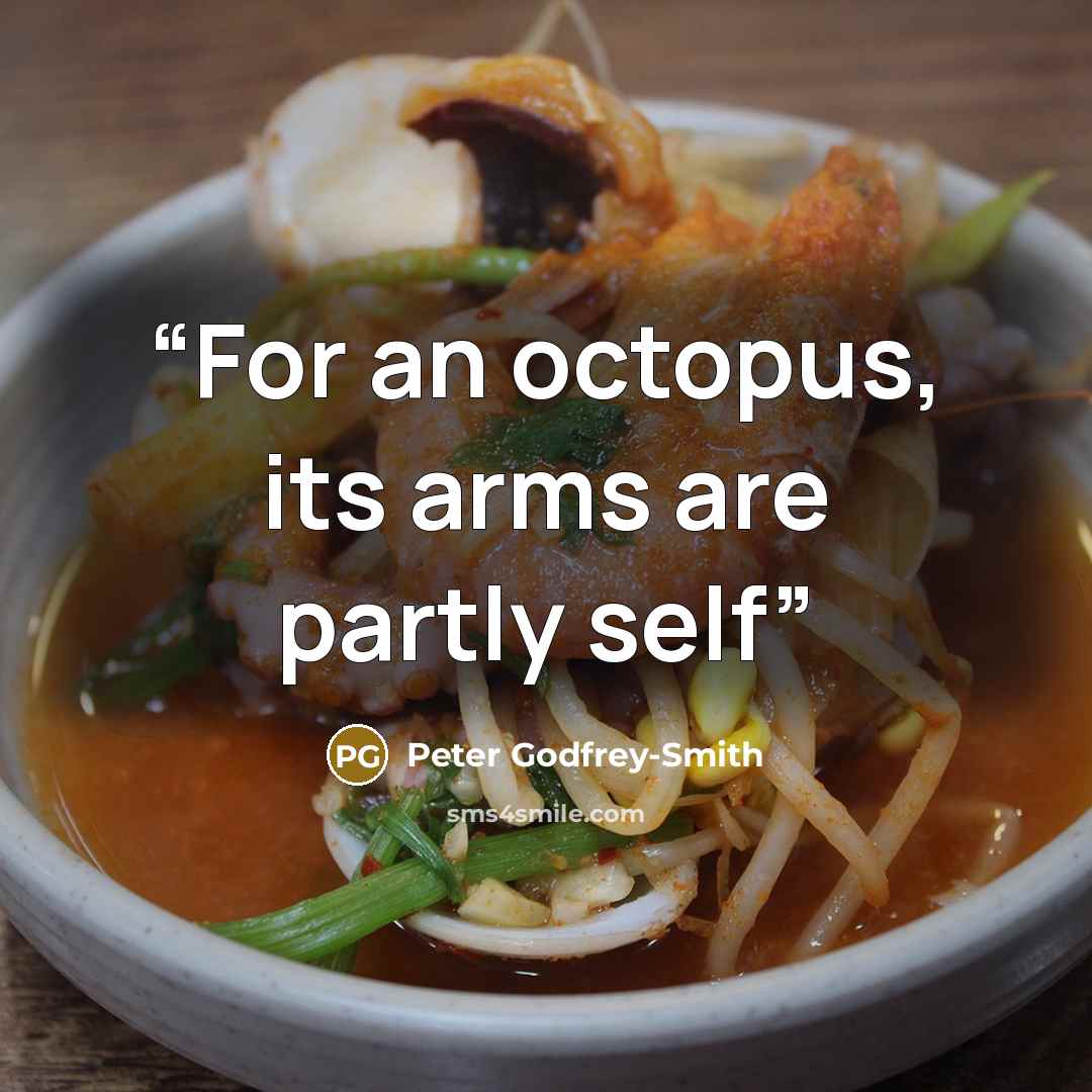 “For an octopus, its arms are partly self” quote by Peter Godfrey-Smith