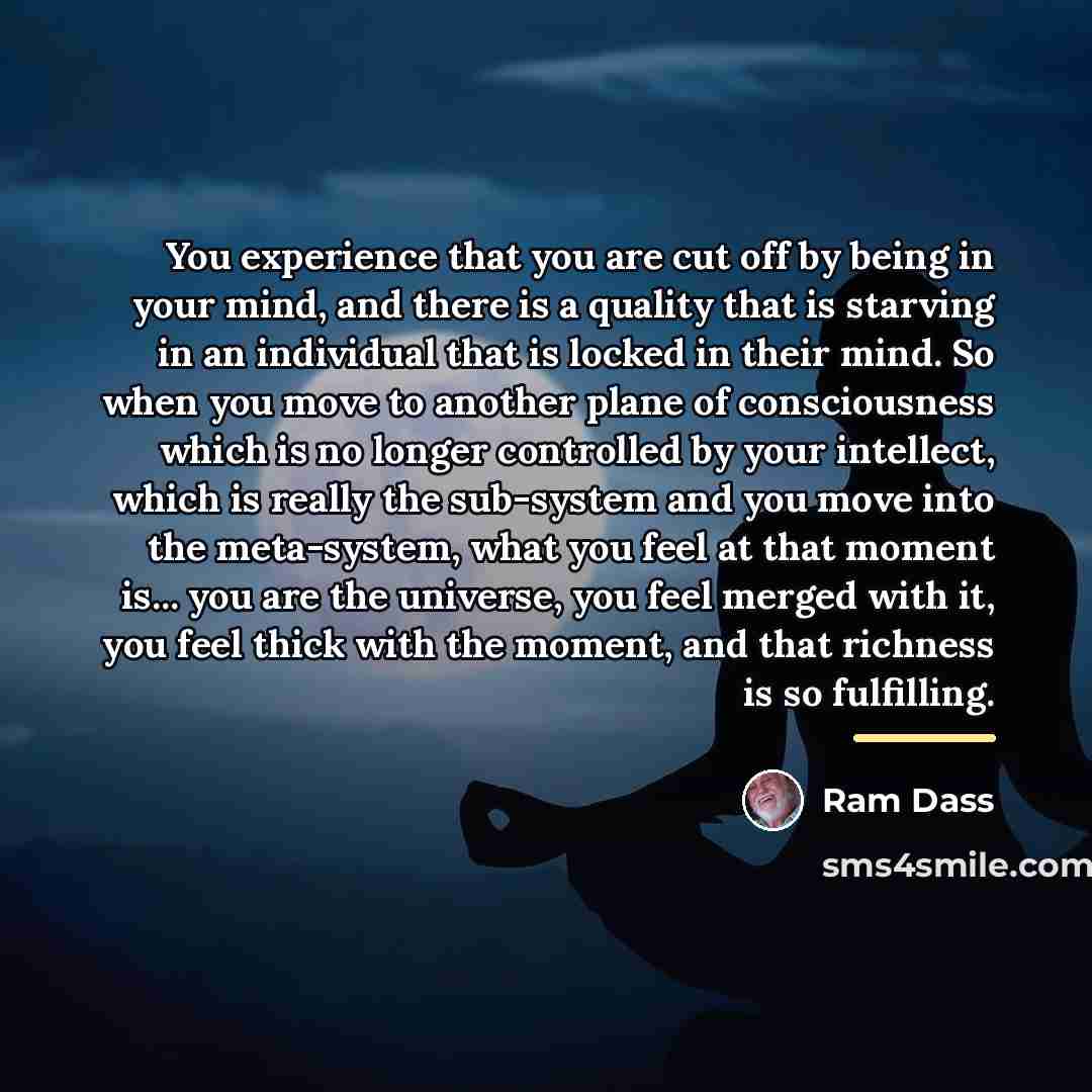 “You experience that you are cut off by being in…” quote by Ram Dass