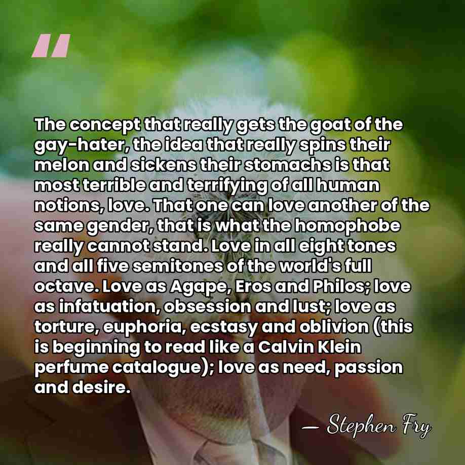 The concept that really gets the goat of the gay-hater, the idea&hellip; - Stephen Fry