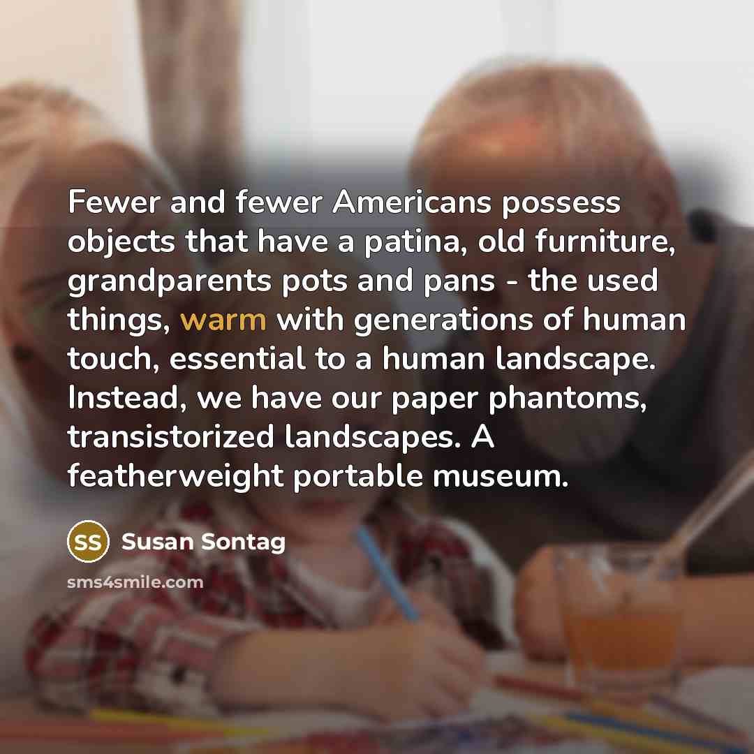 “Fewer and fewer Americans possess objects that have a patina,…” quote by Susan Sontag