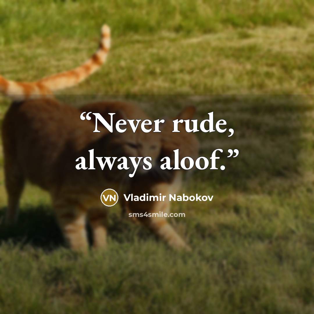 “Never rude, always aloof.” quote by Vladimir Nabokov