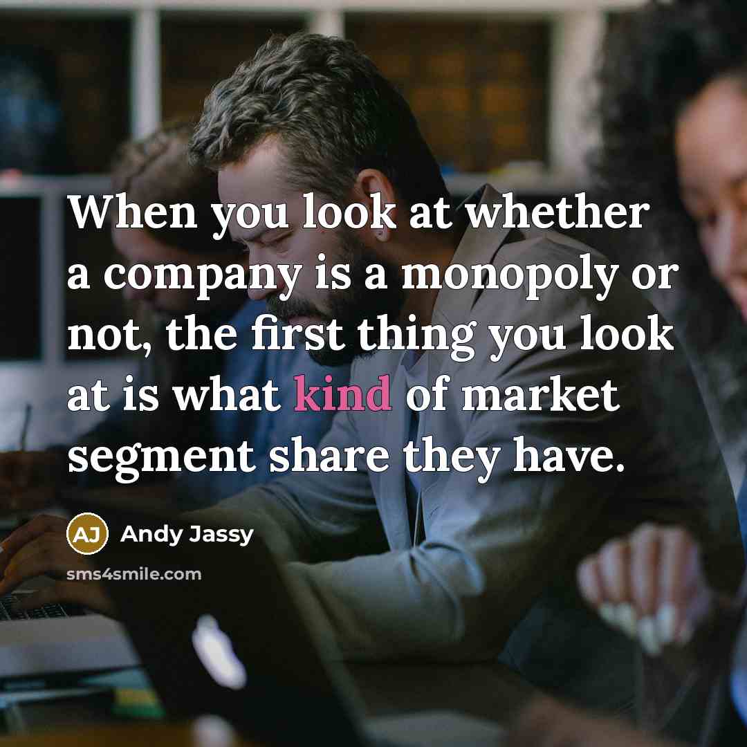 “When you look at whether a company is a monopoly…” quote by Andy Jassy