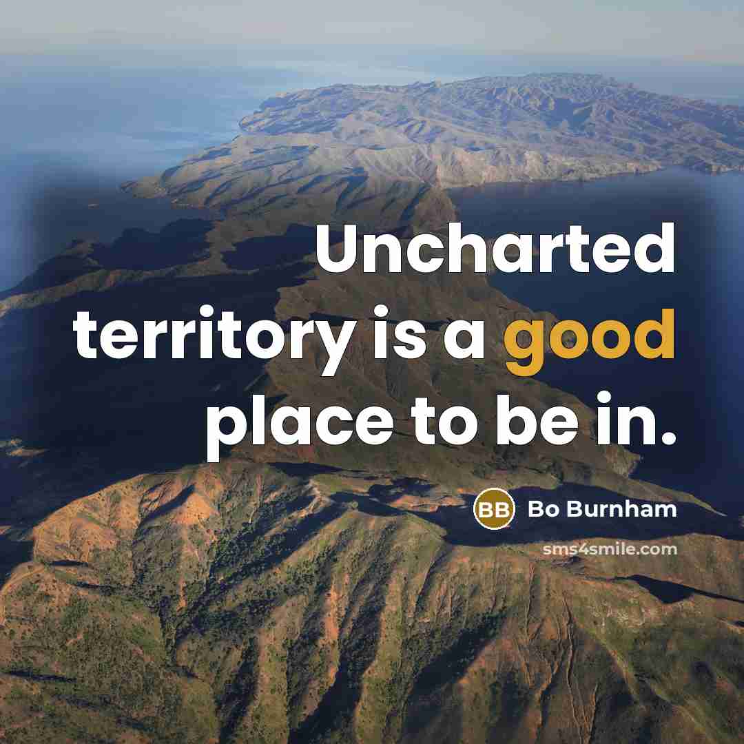 “Uncharted territory is a good place to be in.…” quote by Bo Burnham