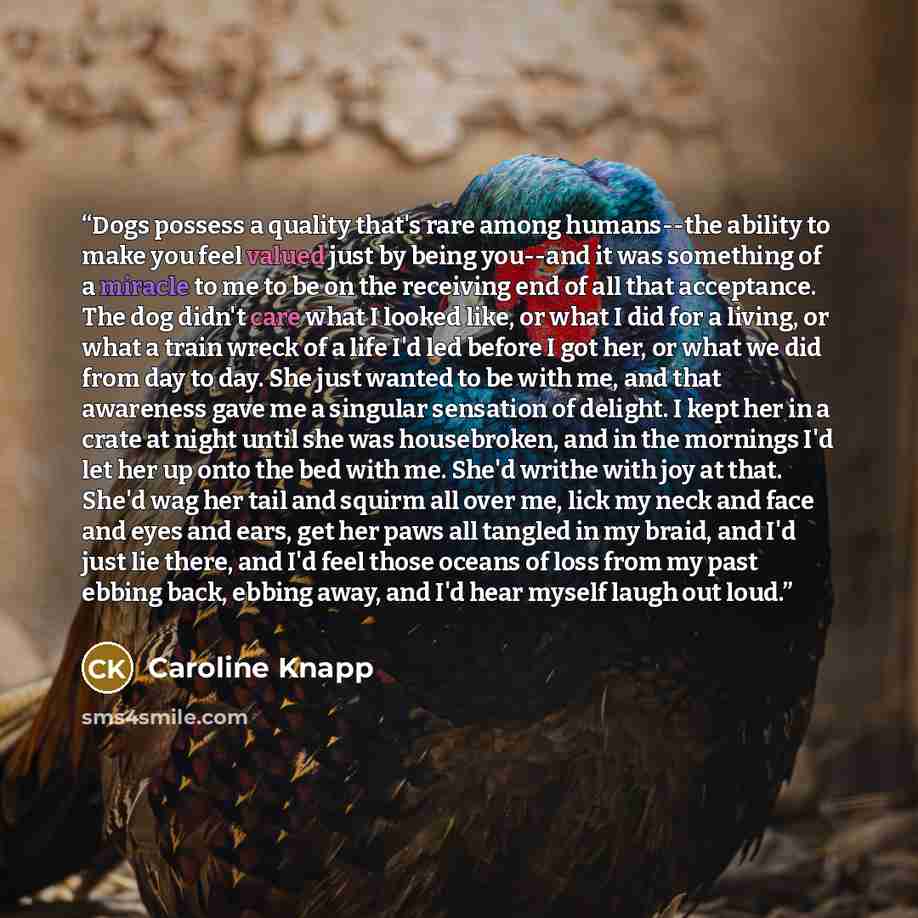 “Dogs possess a quality that's rare among humans--the ability to make you feel valued just by being you--and it was something of a miracle to me to be on the receiving end of all that acceptance. The dog didn't care what I looked like, or what I did for a living, or what a train wreck of a life I'd…” quote by Caroline Knapp
