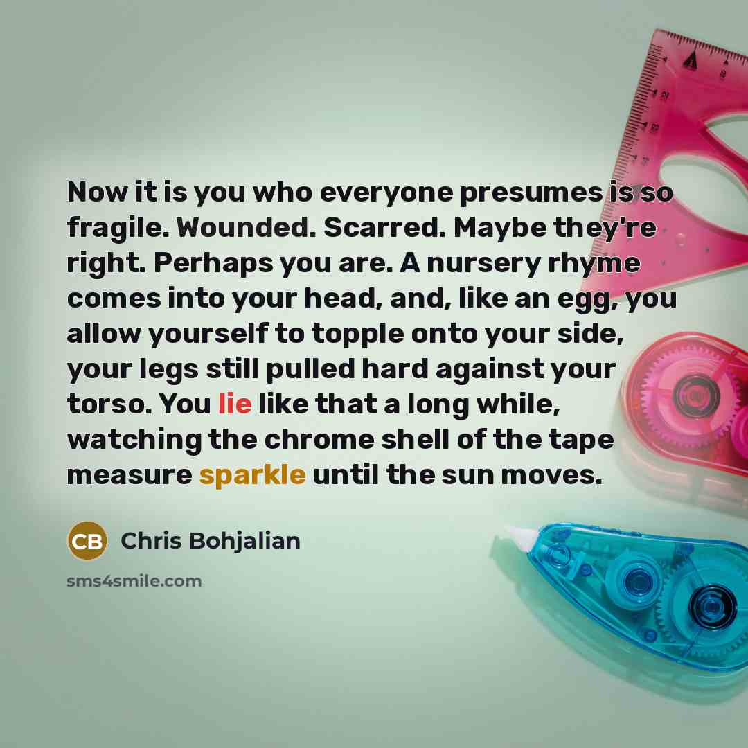 “Now it is you who everyone presumes is so fragile.…” quote by Chris Bohjalian