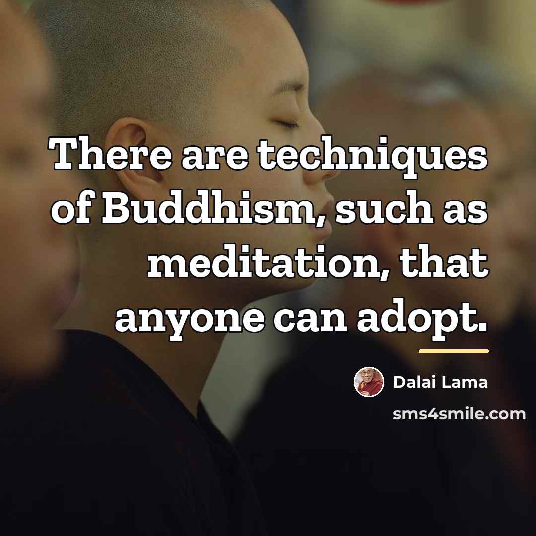 “There are techniques of Buddhism, such as meditation, that anyone…” quote by Dalai Lama