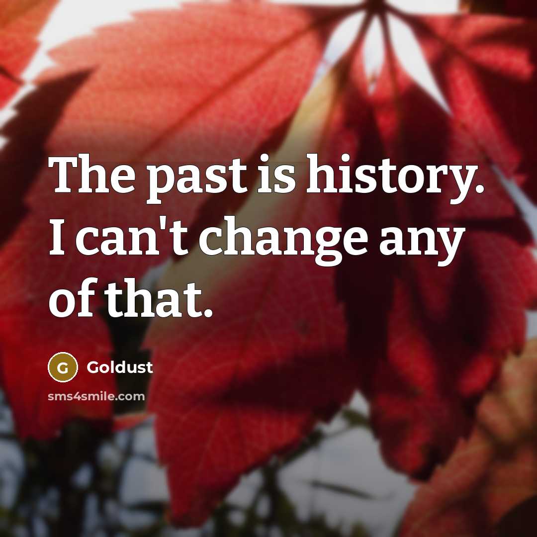 “The past is history. I can't change any of that.…” quote by Goldust