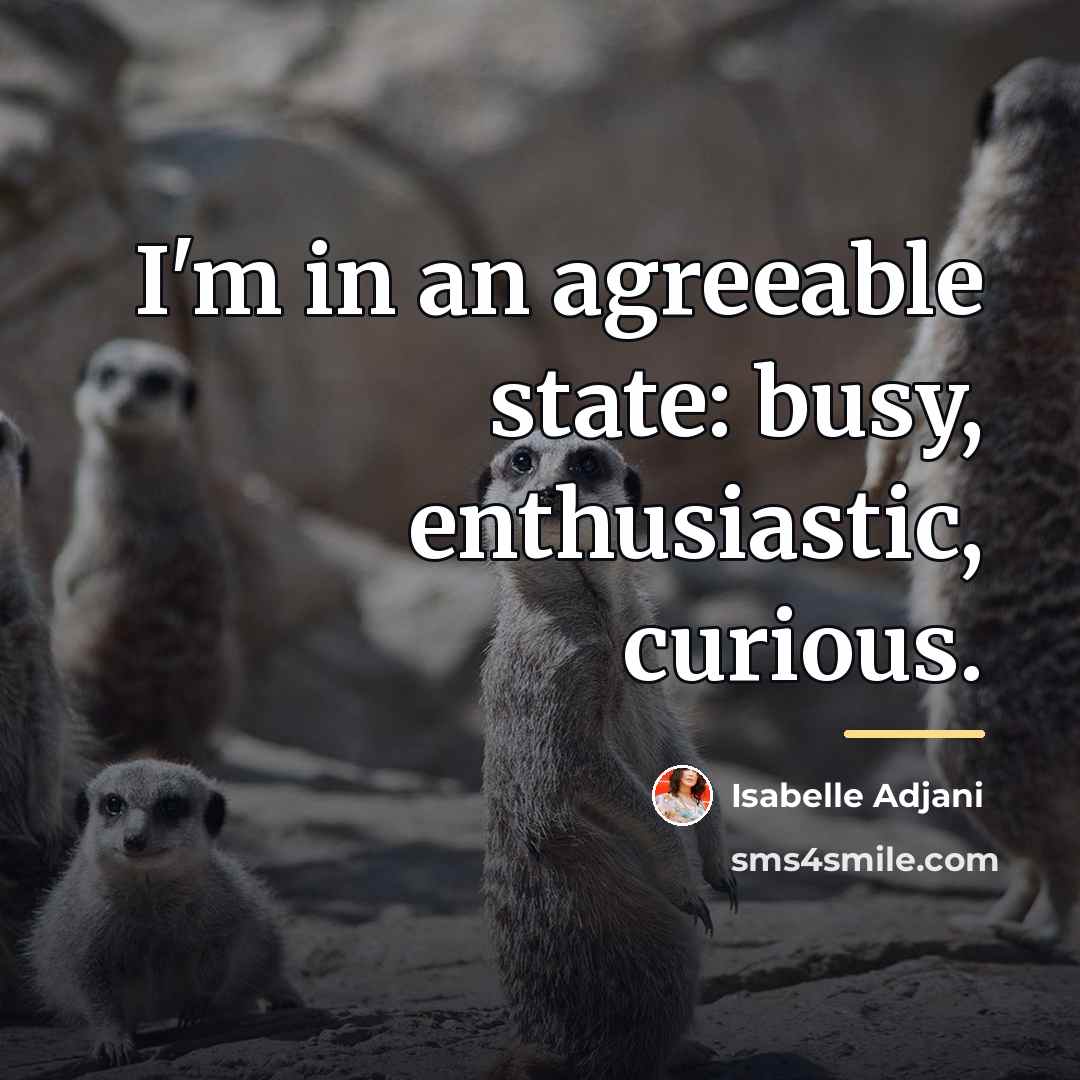 “I'm in an agreeable state: busy, enthusiastic, curious.…” quote by Isabelle Adjani