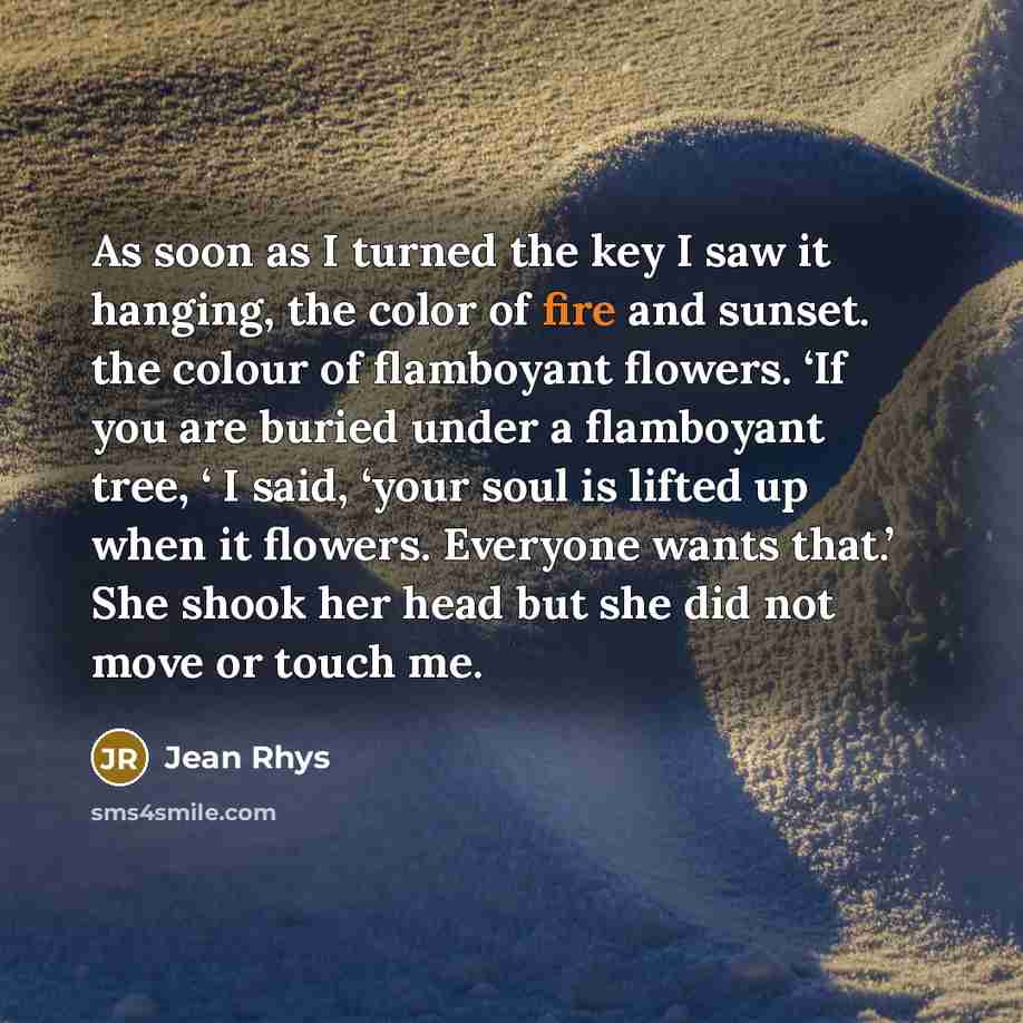 “As soon as I turned the key I saw it…” quote by Jean Rhys