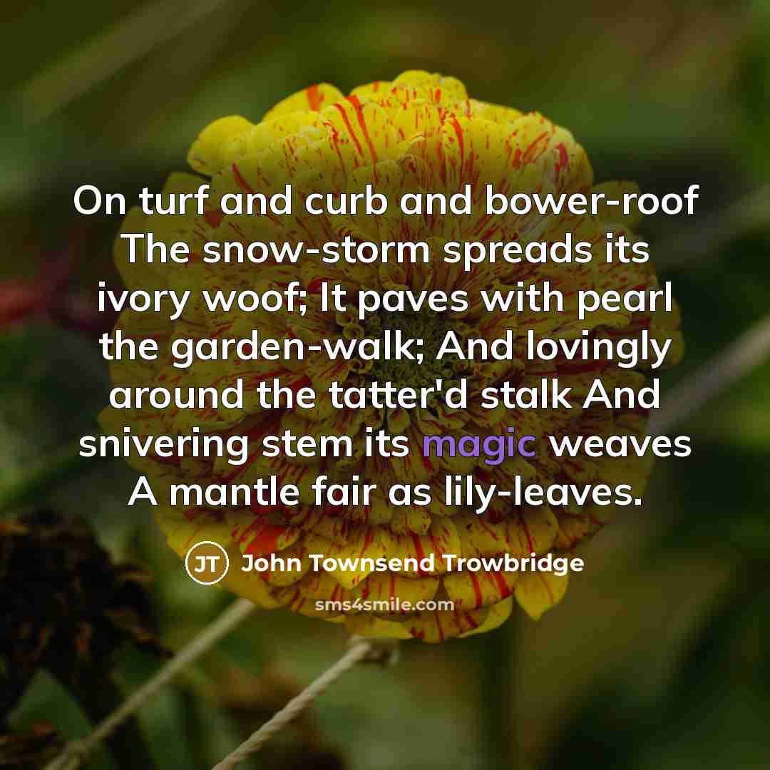 “On turf and curb and bower-roof The snow-storm spreads its…” quote by John Townsend Trowbridge