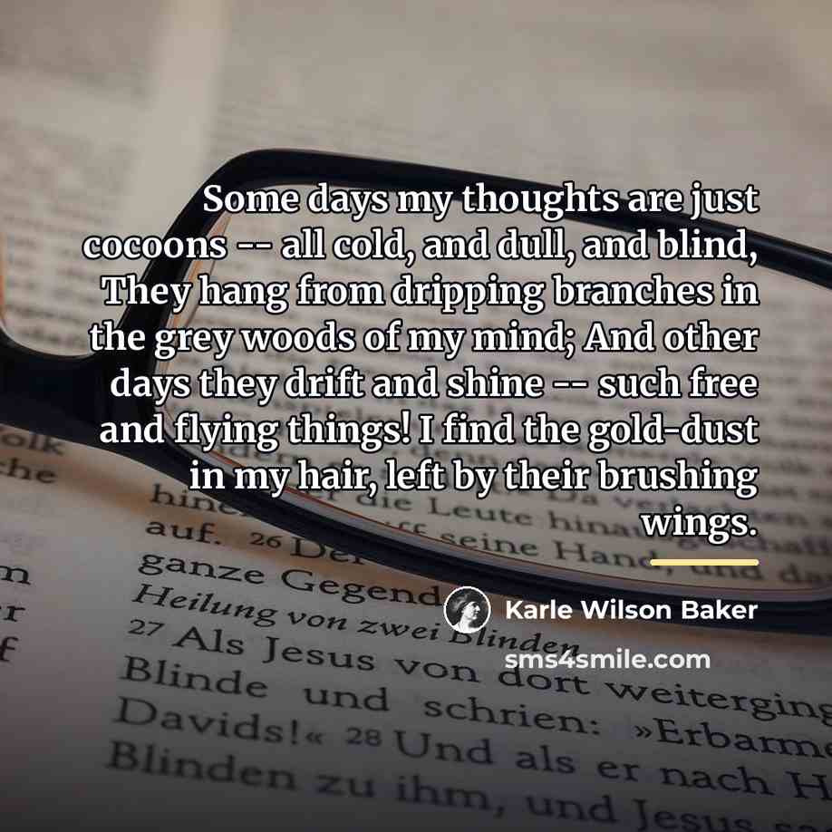 “Some days my thoughts are just cocoons -- all cold,…” quote by Karle Wilson Baker