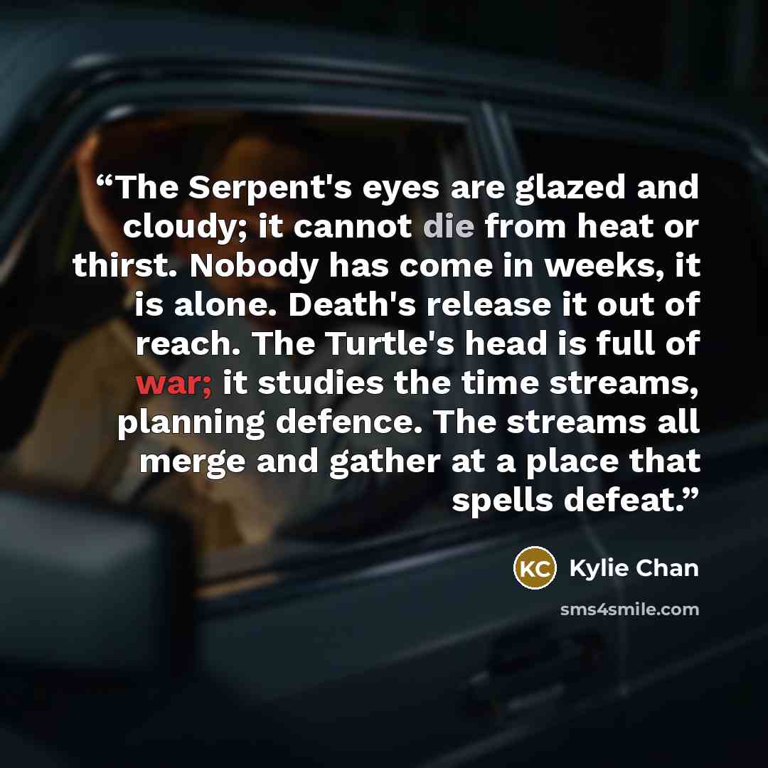 “The Serpent's eyes are glazed and cloudy; it cannot die from heat or thirst. Nobody has come in weeks, it is alone. Death's release it out of reach. The Turtle's head is full of war; it studies the time streams, planning defence. The streams all merge and gather at a place that spells defeat.” quote by Kylie Chan