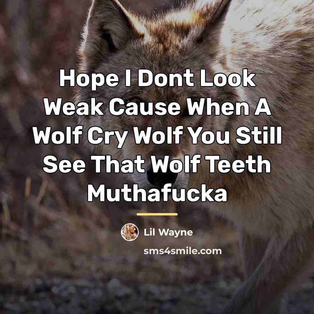 “Hope I Dont Look Weak Cause When A Wolf Cry…” quote by Lil Wayne