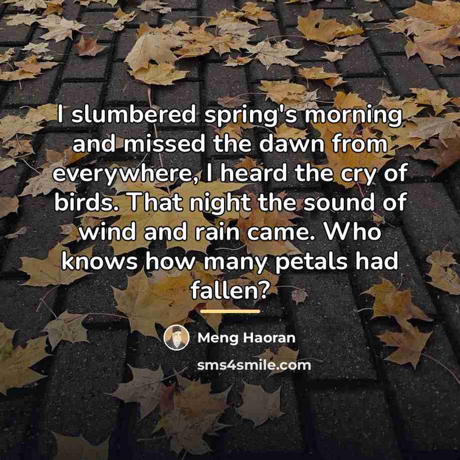 “I slumbered spring's morning and missed the dawn from everywhere,…” quote by Meng Haoran