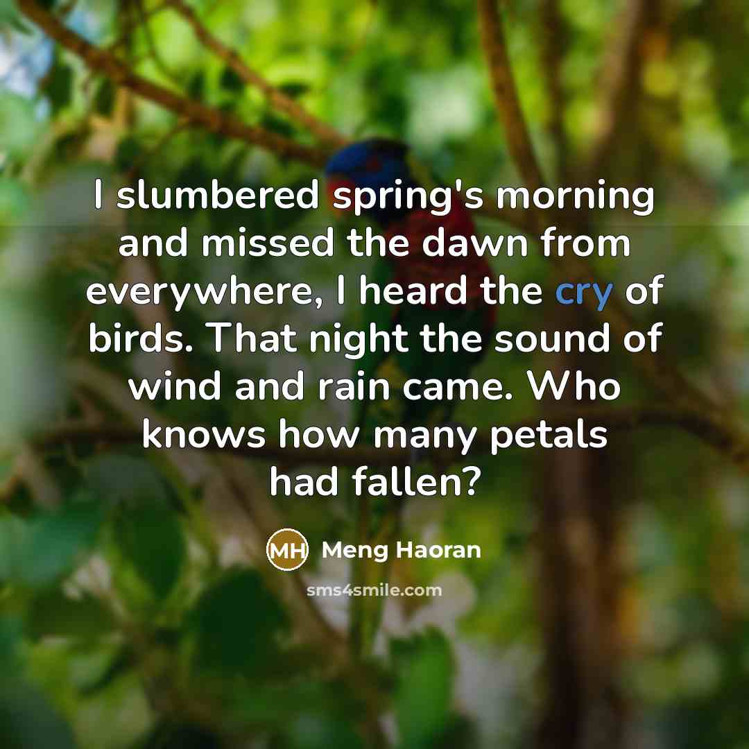 “I slumbered spring's morning and missed the dawn from everywhere, I heard the cry of birds. That night the sound of wind and rain came. Who knows how many petals had fallen?” quote by Meng Haoran