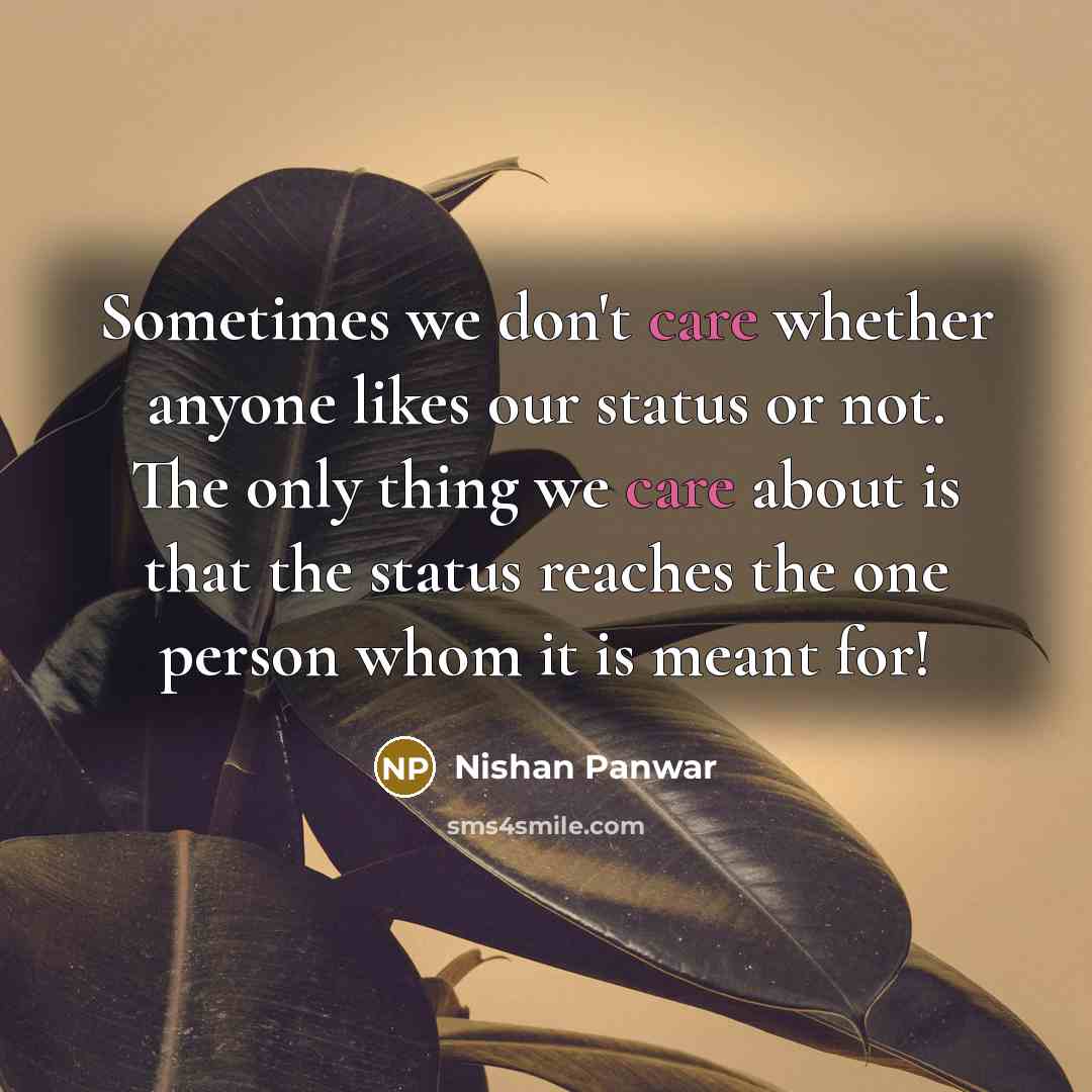 “Sometimes we don't care whether anyone likes our status or…” quote by Nishan Panwar