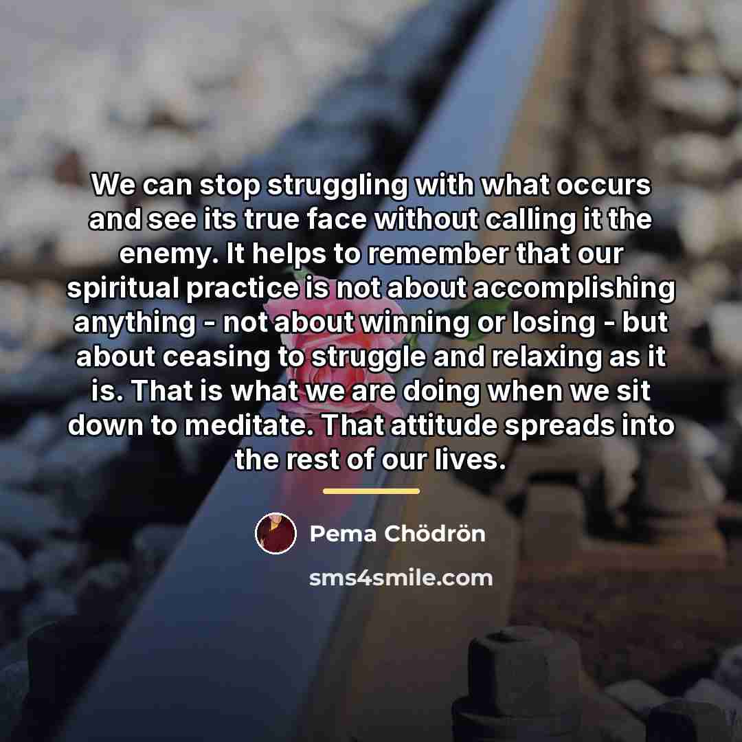 “We can stop struggling with what occurs and see its…” quote by Pema Chodron