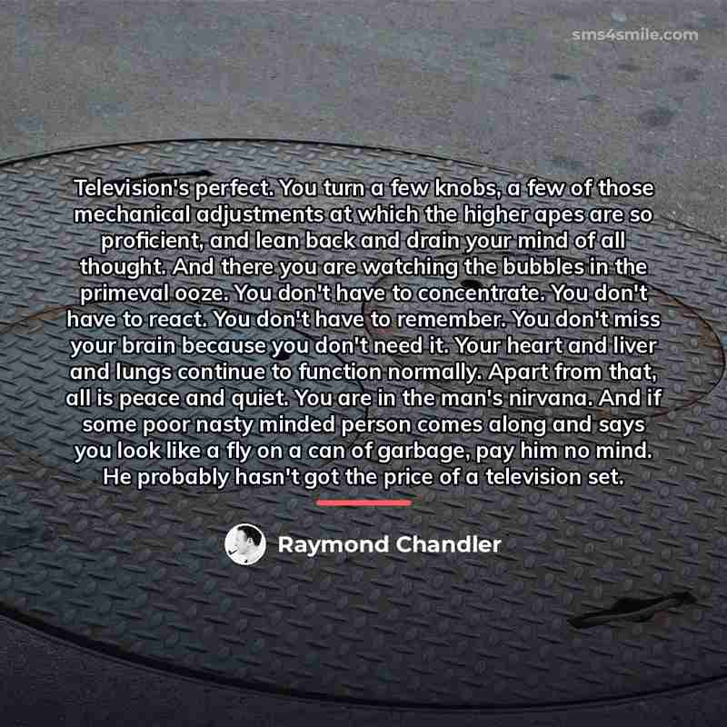 “Television's perfect. You turn a few knobs, a few of…” quote by Raymond Chandler