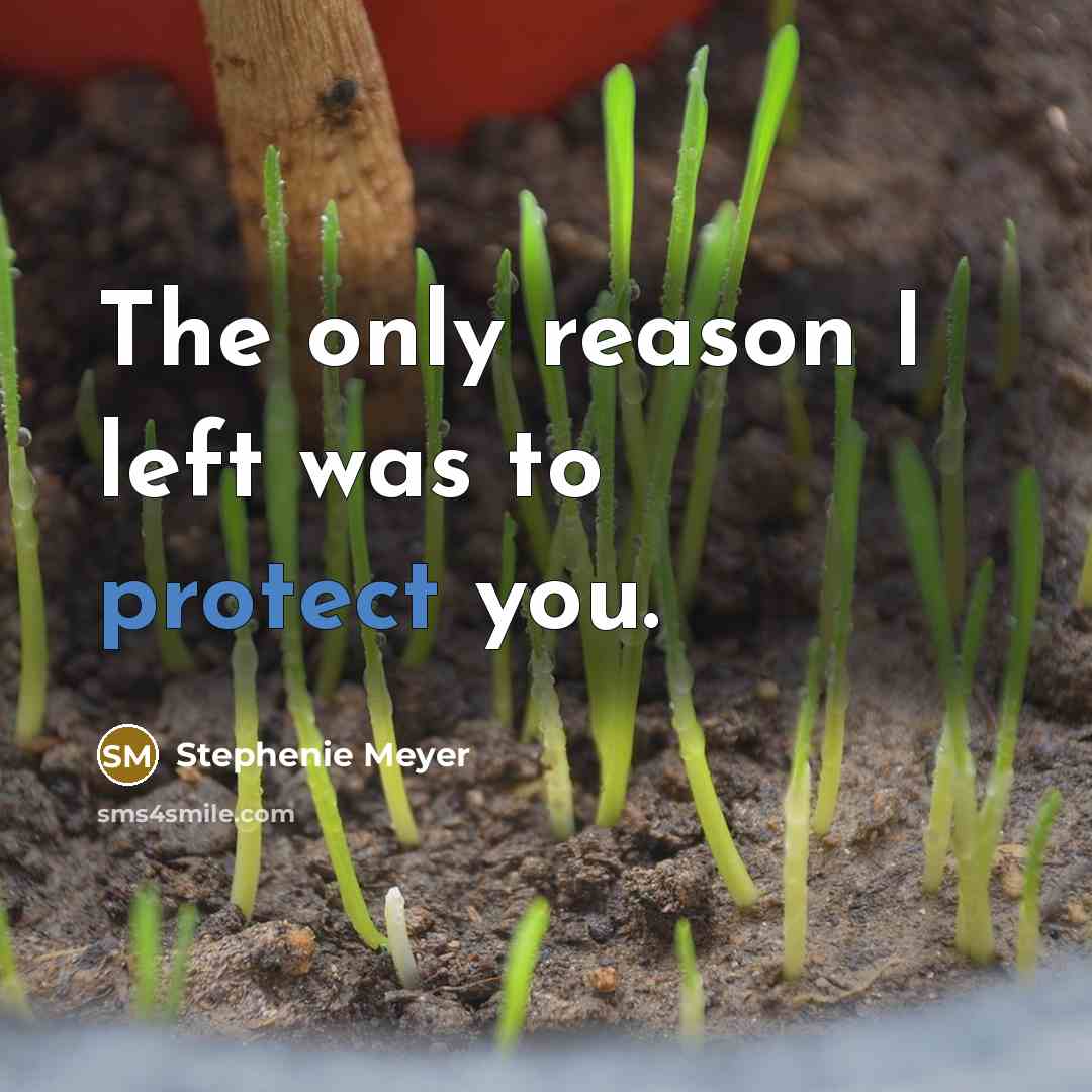 “The only reason I left was to protect you.” quote by Stephenie Meyer