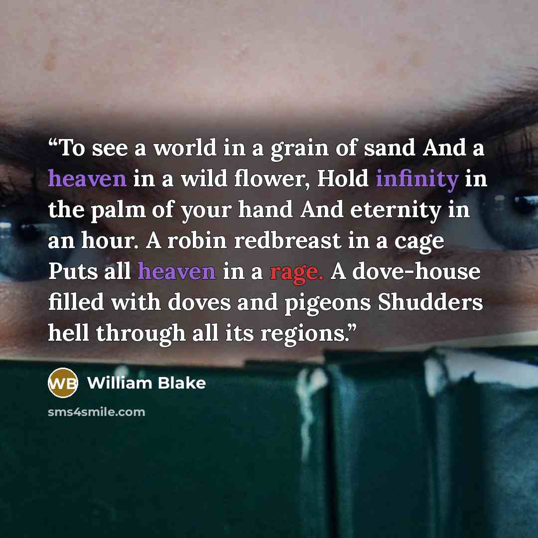 “To see a world in a grain of sand And a heaven in a wild flower, Hold infinity in the palm of your hand And eternity in an hour. A robin redbreast in a cage Puts all heaven in a rage. A dove-house filled with doves and pigeons Shudders hell through all its regions.” quote by William Blake