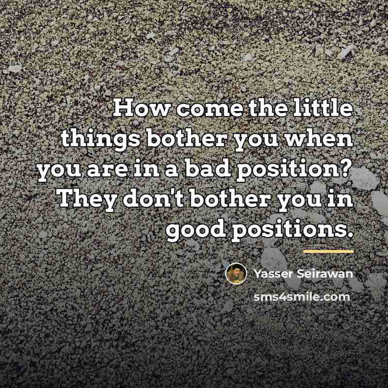 “How come the little things bother you when you are…” quote by Yasser Seirawan