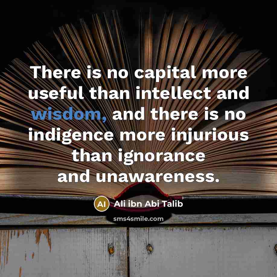 “There is no capital more useful than intellect and wisdom,…” quote by Ali ibn Abi Talib