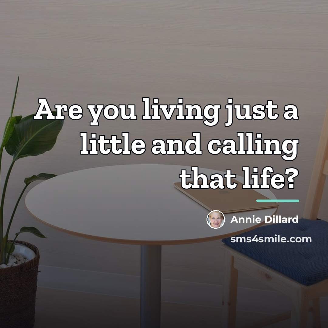 “Are you living just a little and calling that life?…” quote by Annie Dillard