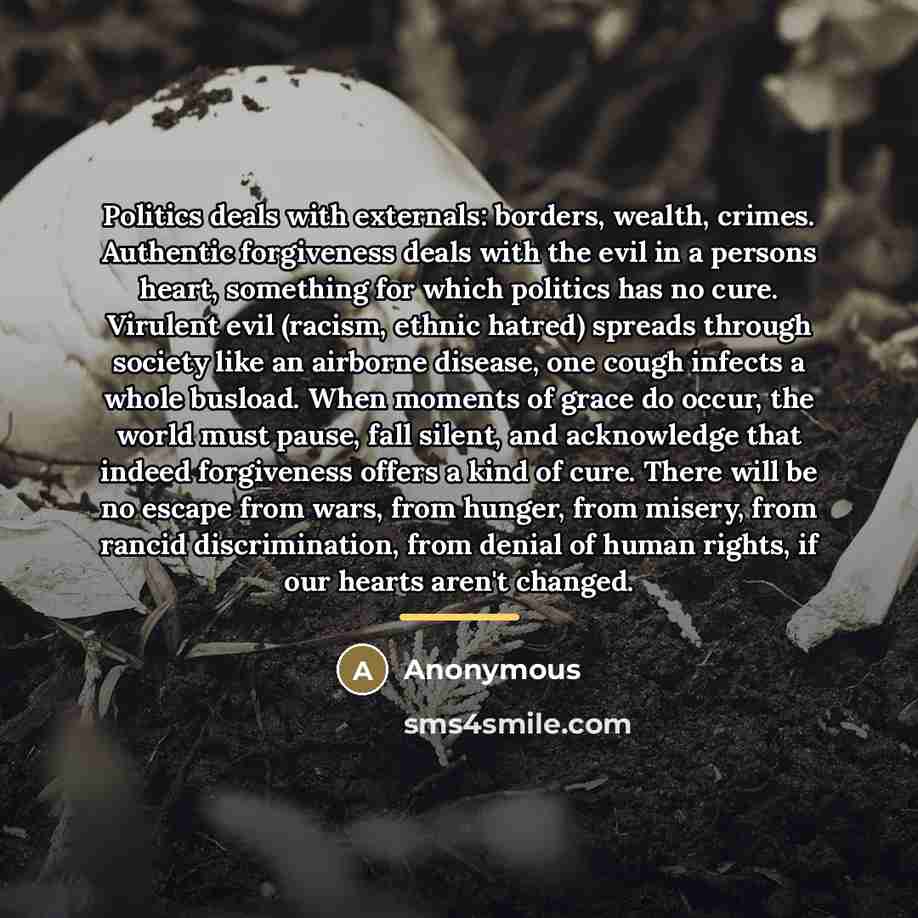 “Politics deals with externals: borders, wealth, crimes. Authentic forgiveness deals…” quote by Anonymous