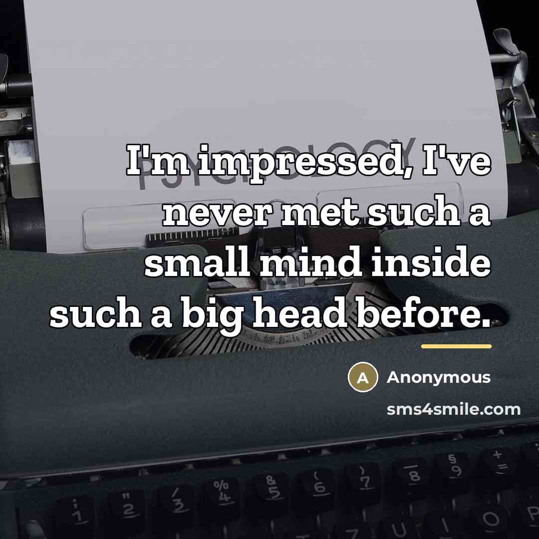 “I'm impressed, I've never met such a small mind inside…” quote by Anonymous