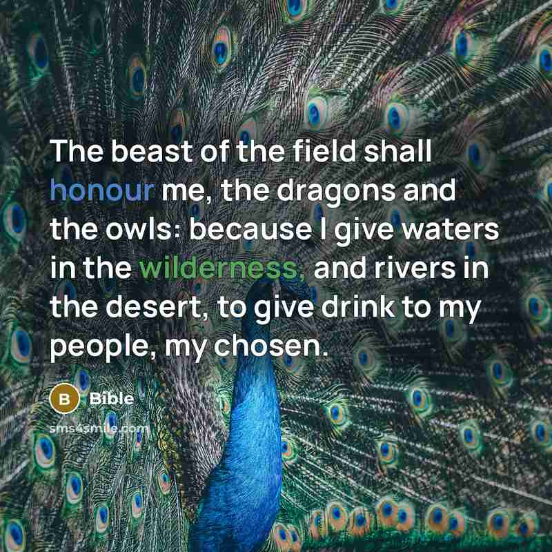 “The beast of the field shall honour me, the dragons…” quote by Bible