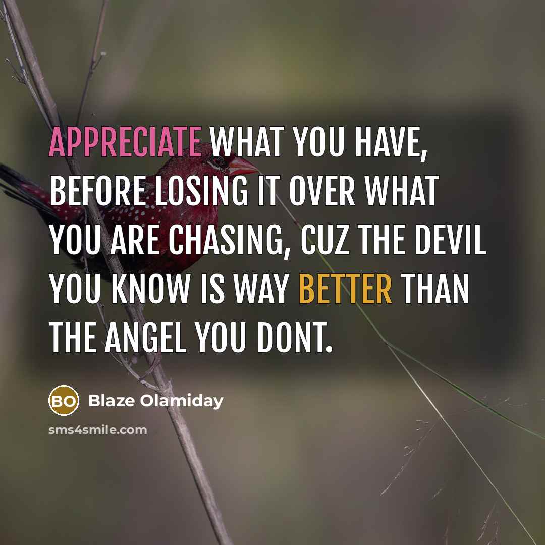 “Appreciate what you have, before losing it over what you are chasing, cuz the devil you know is way better than the angel you dont.” quote by Blaze Olamiday