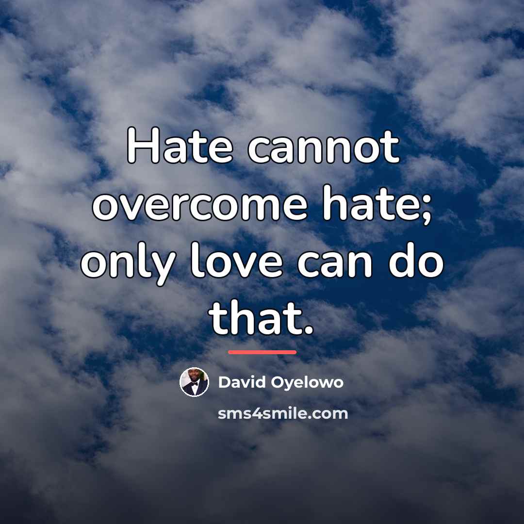 “Hate cannot overcome hate; only love can do that.…” quote by David Oyelowo