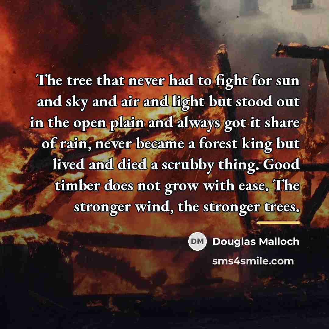 “The tree that never had to fight for sun and…” quote by Douglas Malloch