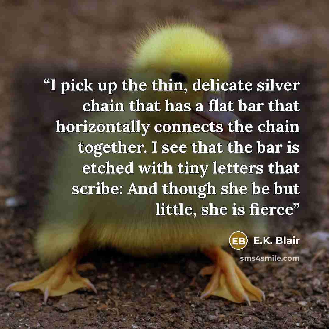 “I pick up the thin, delicate silver chain that has a flat bar that horizontally connects the chain together. I see that the bar is etched with tiny letters that scribe: And though she be but little, she is fierce” quote by E.K. Blair