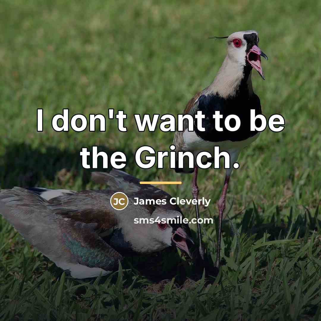 “I don't want to be the Grinch.…” quote by James Cleverly