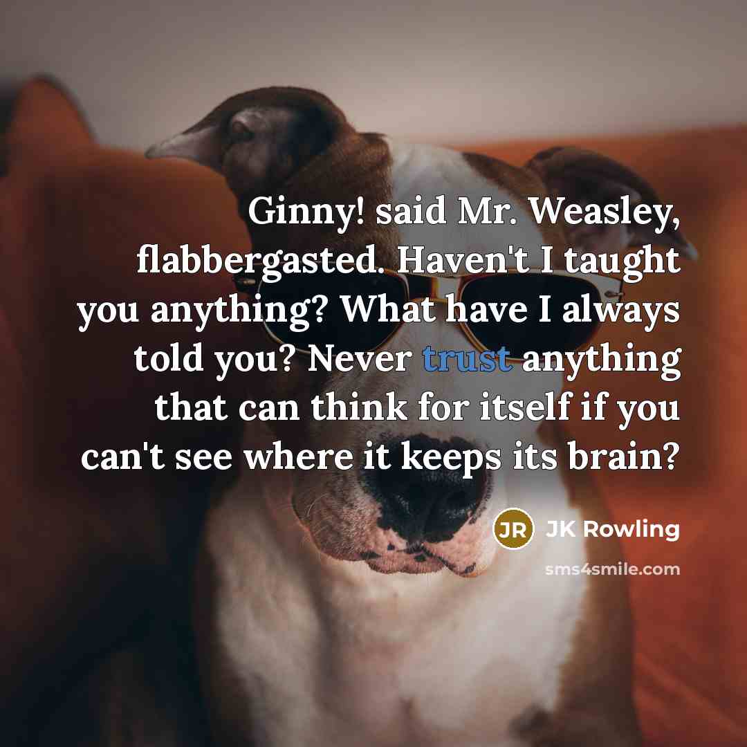 “Ginny! said Mr. Weasley, flabbergasted. Haven't I taught you anything?…” quote by JK Rowling