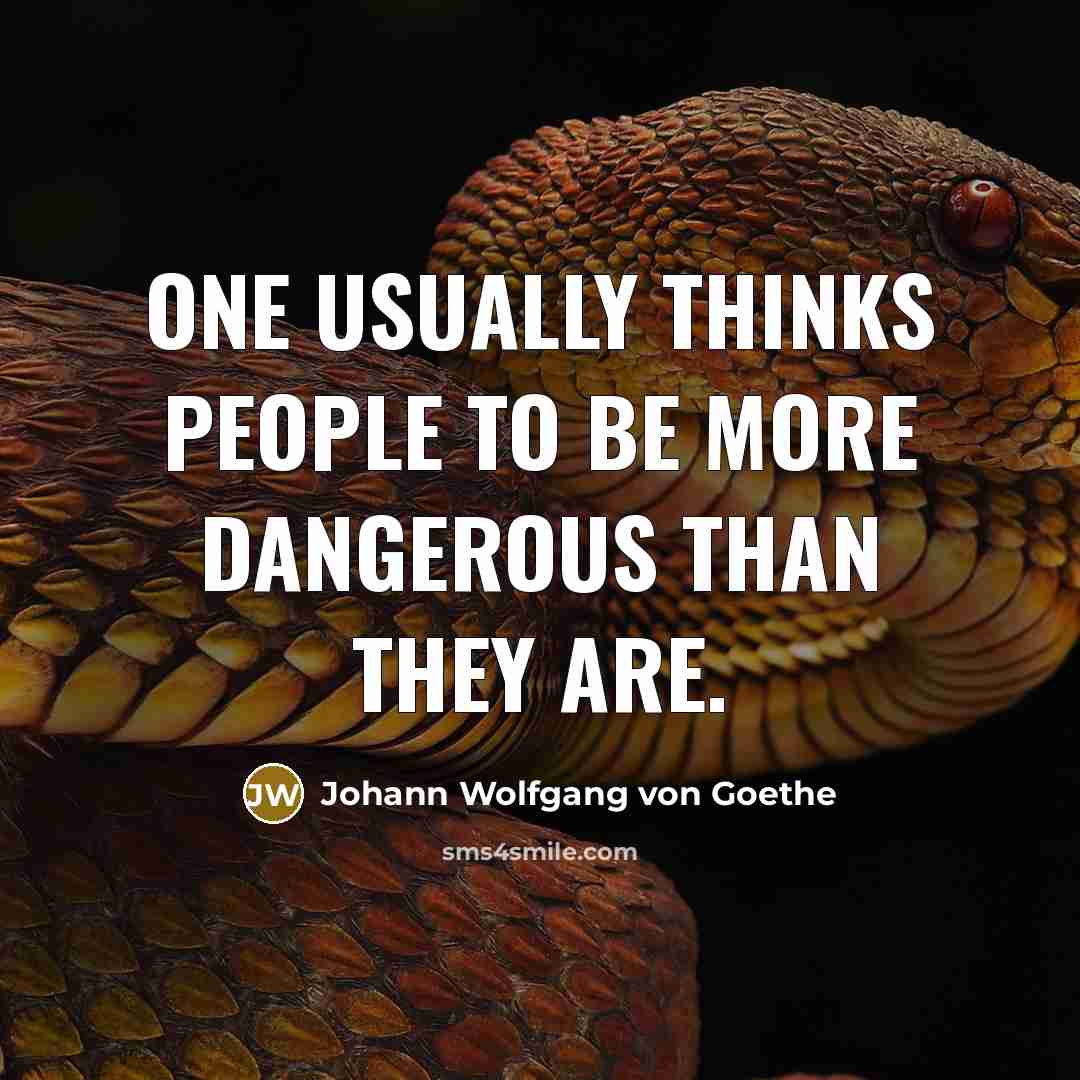 “One usually thinks people to be more dangerous than they…” quote by Johann Wolfgang von Goethe