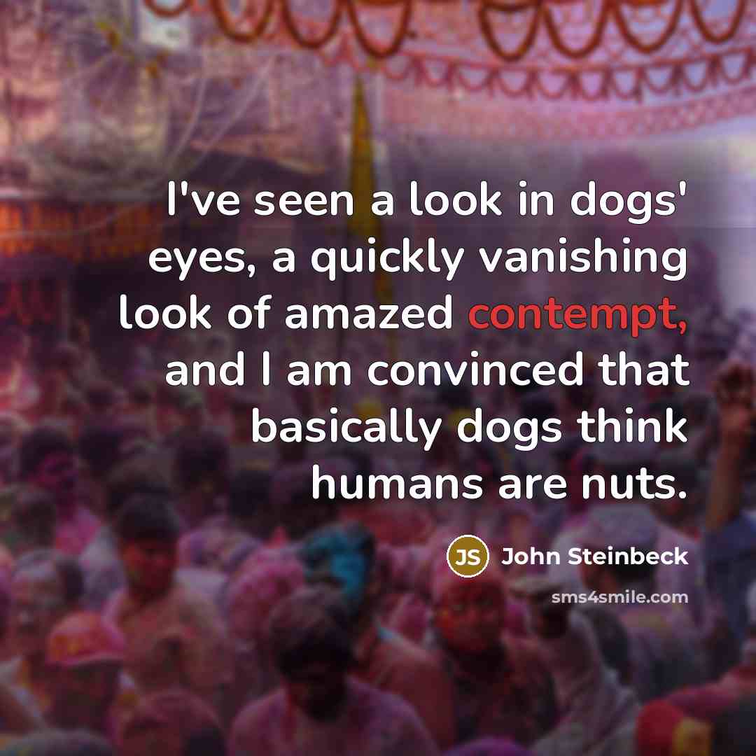 “I've seen a look in dogs' eyes, a quickly vanishing…” quote by John Steinbeck