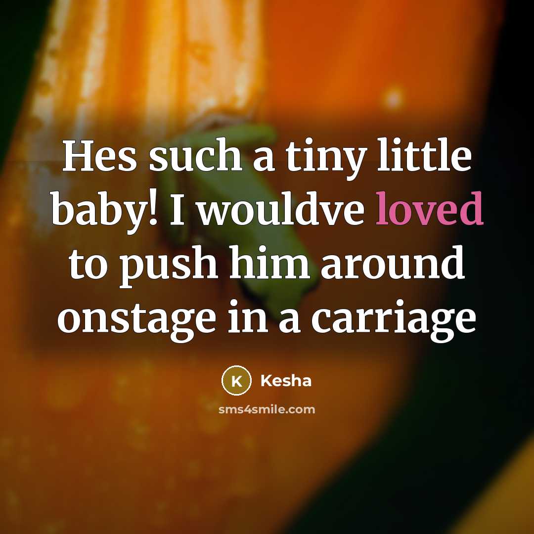 “Hes such a tiny little baby! I wouldve loved to…” quote by Kesha
