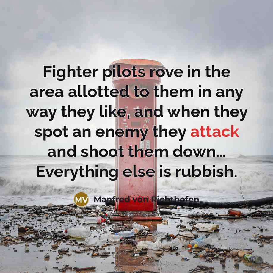 “Fighter pilots rove in the area allotted to them in…” quote by Manfred von Richthofen