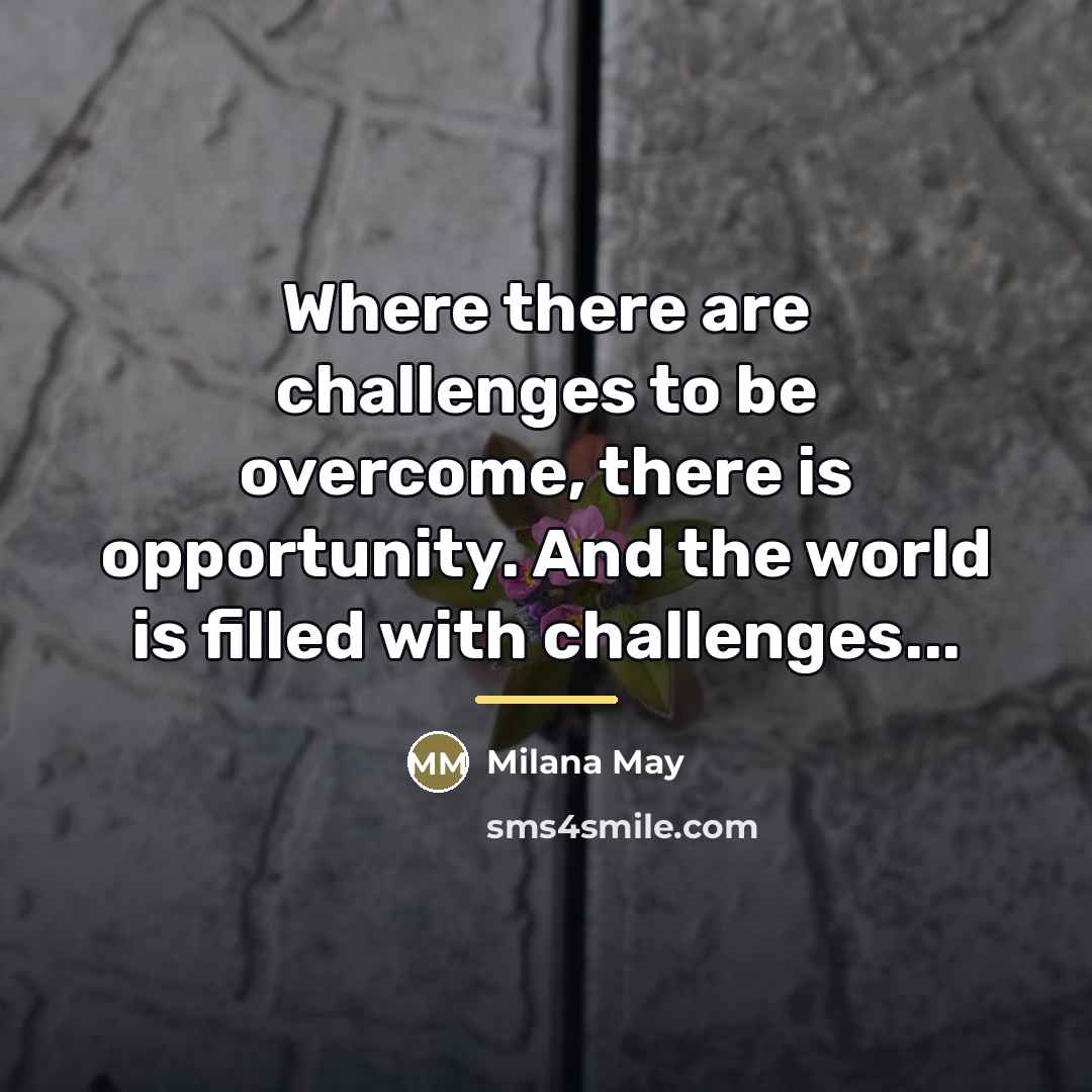 “Where there are challenges to be overcome, there is opportunity.…” quote by Milana May