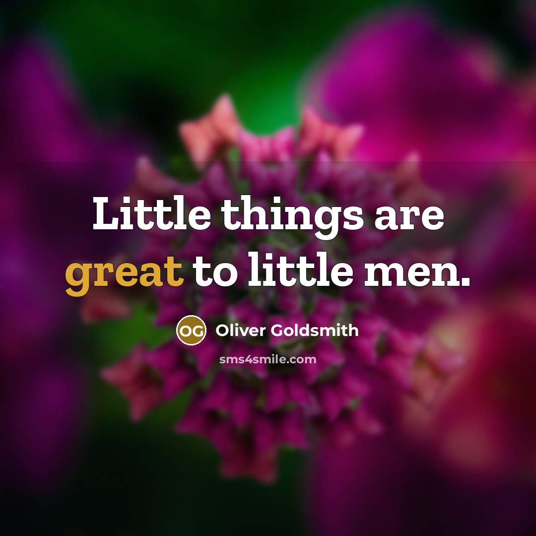 “Little things are great to little men.…” quote by Oliver Goldsmith