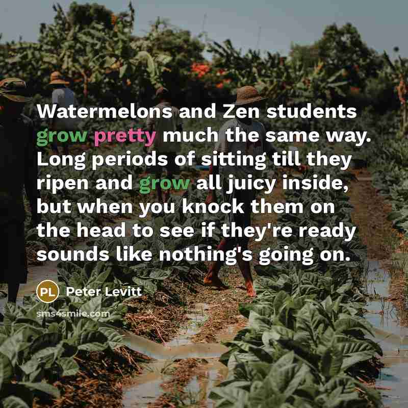 “Watermelons and Zen students grow pretty much the same way. Long periods of sitting till they ripen and grow all juicy inside, but when you knock them on the head to see if they're ready sounds like nothing's going on.” quote by Peter Levitt