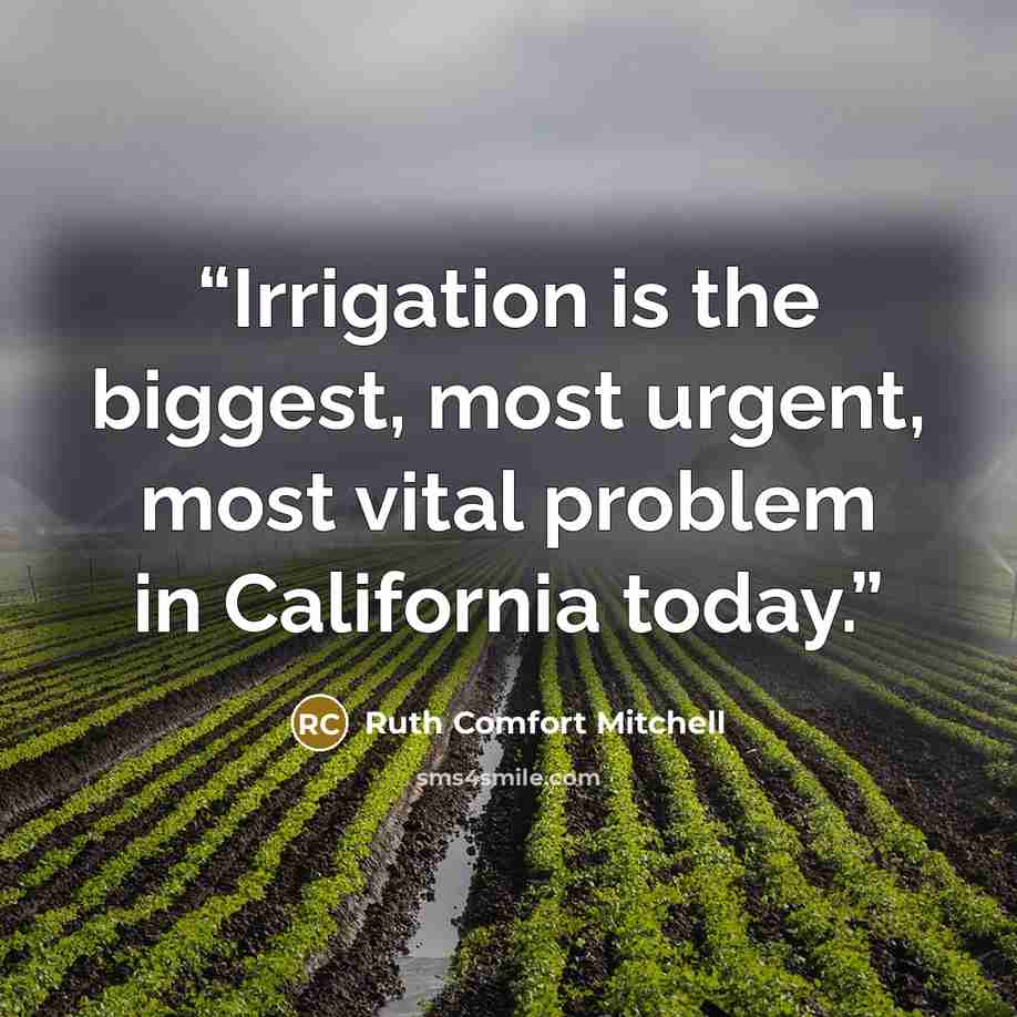 “Irrigation is the biggest, most urgent, most vital problem in California today.” quote by Ruth Comfort Mitchell