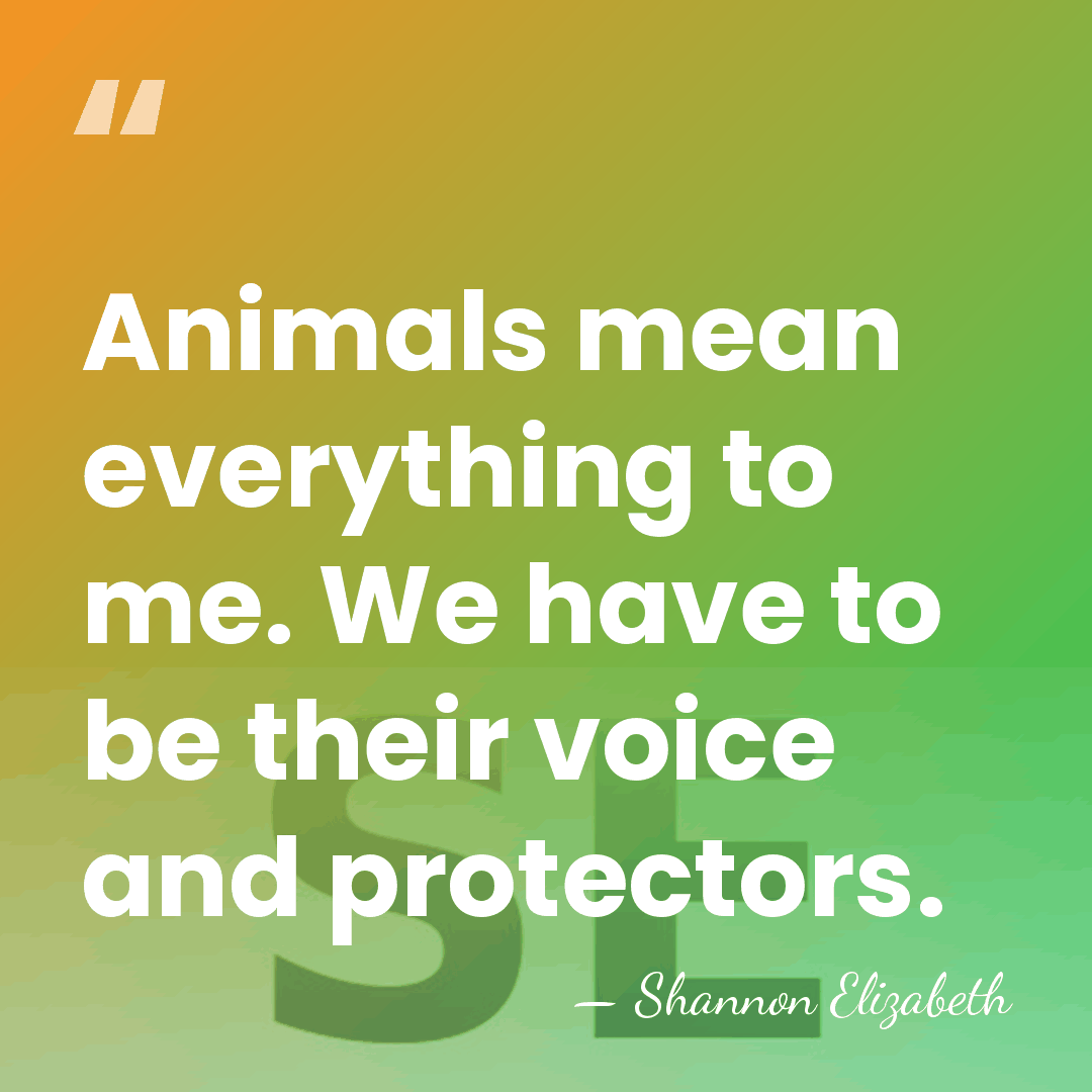 Animals mean everything to me. We have to be their voice and&hellip; - Shannon Elizabeth