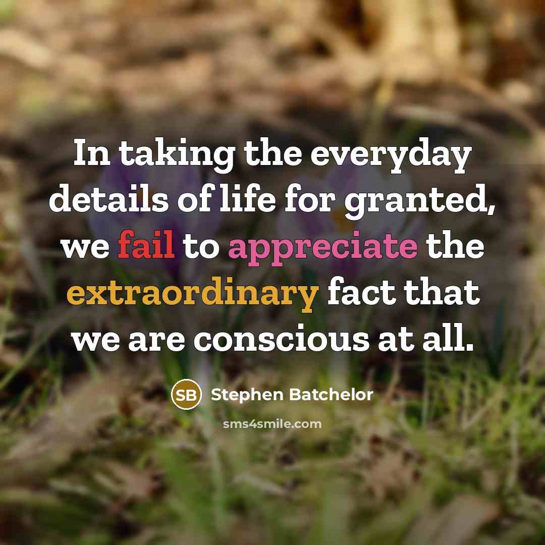 “In taking the everyday details of life for granted, we…” quote by Stephen Batchelor