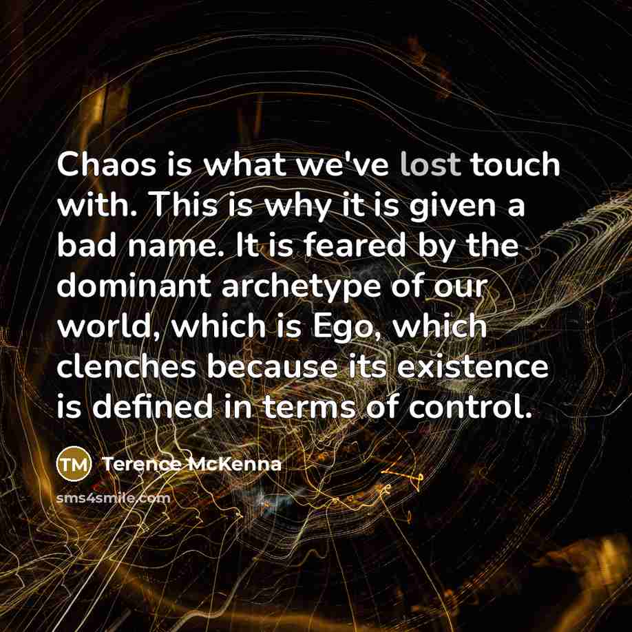 “Chaos is what we've lost touch with. This is why…” quote by Terence McKenna