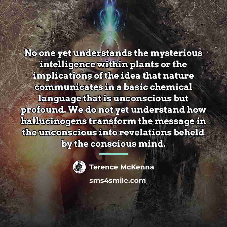 “No one yet understands the mysterious intelligence within plants or…” quote by Terence McKenna