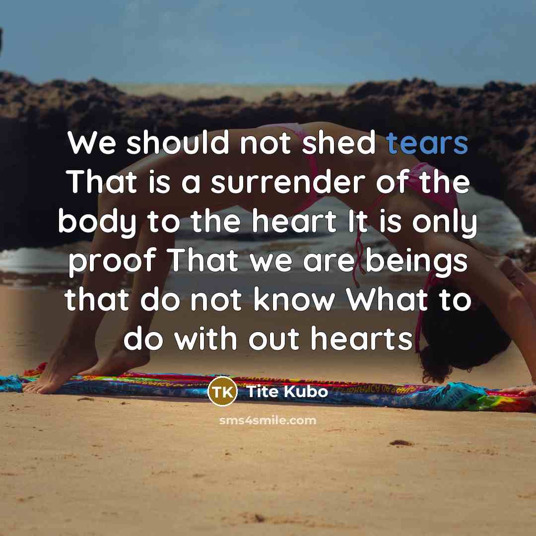 “We should not shed tears That is a surrender of…” quote by Tite Kubo