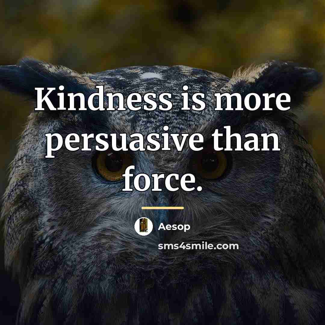 “Kindness is more persuasive than force.…” quote by Aesop